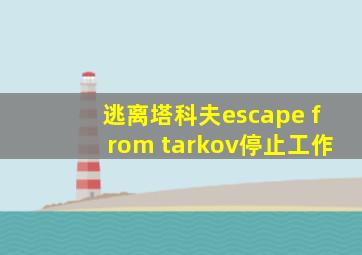 逃离塔科夫escape from tarkov停止工作